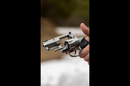Would you want one? (Ruger GP100)