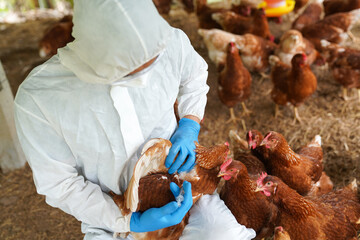 Bird Flu Continues To Spread In Animals, While Sparing Humans…For Now