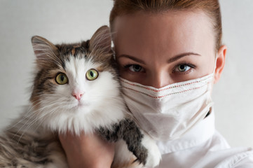 Cat Cases of Bird Flu Spike Causing Alarm