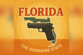 Millions Still Seek Licenses As Firearm Training Dwindles In Florida