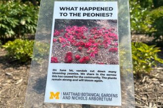 Historic university garden vandalized in apparent anti-Israel statement: ‘Don’t waste your tears’