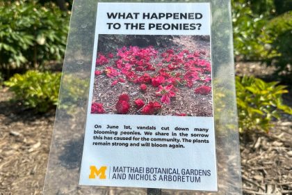 Historic university garden vandalized in apparent anti-Israel statement: ‘Don’t waste your tears’
