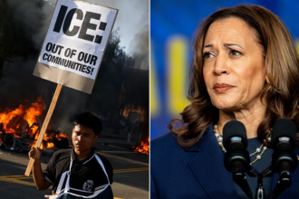 Harris ripped for ‘appalling’ LA ICE raids statement placing blame on Trump: ‘The country dodged a bullet’