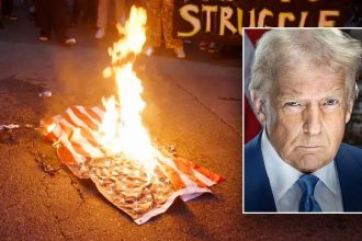 Trump vows consequences for ‘animals’ burning American flags in LA, slams those waving other countries’ flags