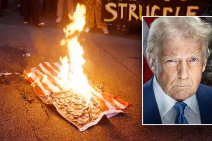 Trump vows consequences for ‘animals’ burning American flags in LA, slams those waving other countries’ flags