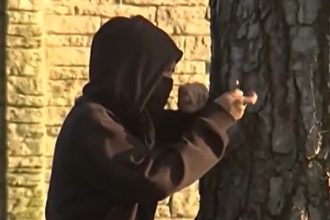 Illegal alien charged with attempted murder for throwing Molotov cocktail at officers in LA riots: DHS