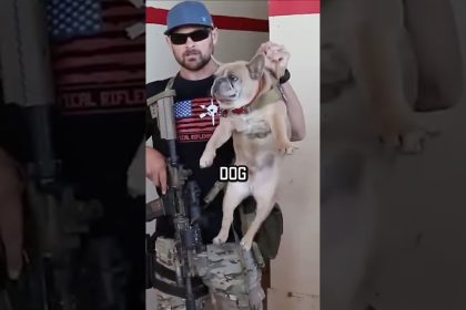 NAVY SEAL ROOM CLEARING #military #shortsvideo #shorts #navyseal #training #youtubeshorts #dog