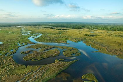 Florida building ‘Alligator Alcatraz’ where ICE detainees face nature’s own security system