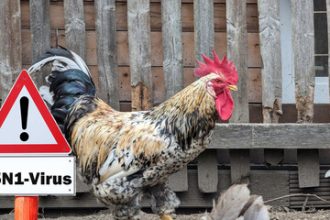 Public Health Experts Claim We Should Be Afraid of Bird Flu