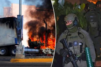 US government taking ‘dramatically different approach’ using terrorism charges against drug cartels: FBI alum