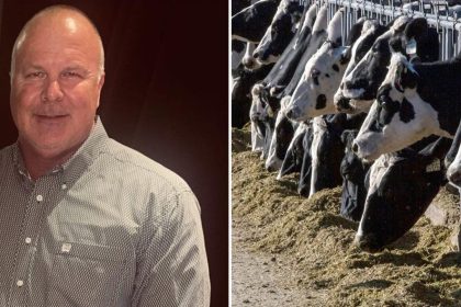 Victims of ‘Bernie Madoff of cows’ take on major banks in massive ghost cattle Ponzi scheme