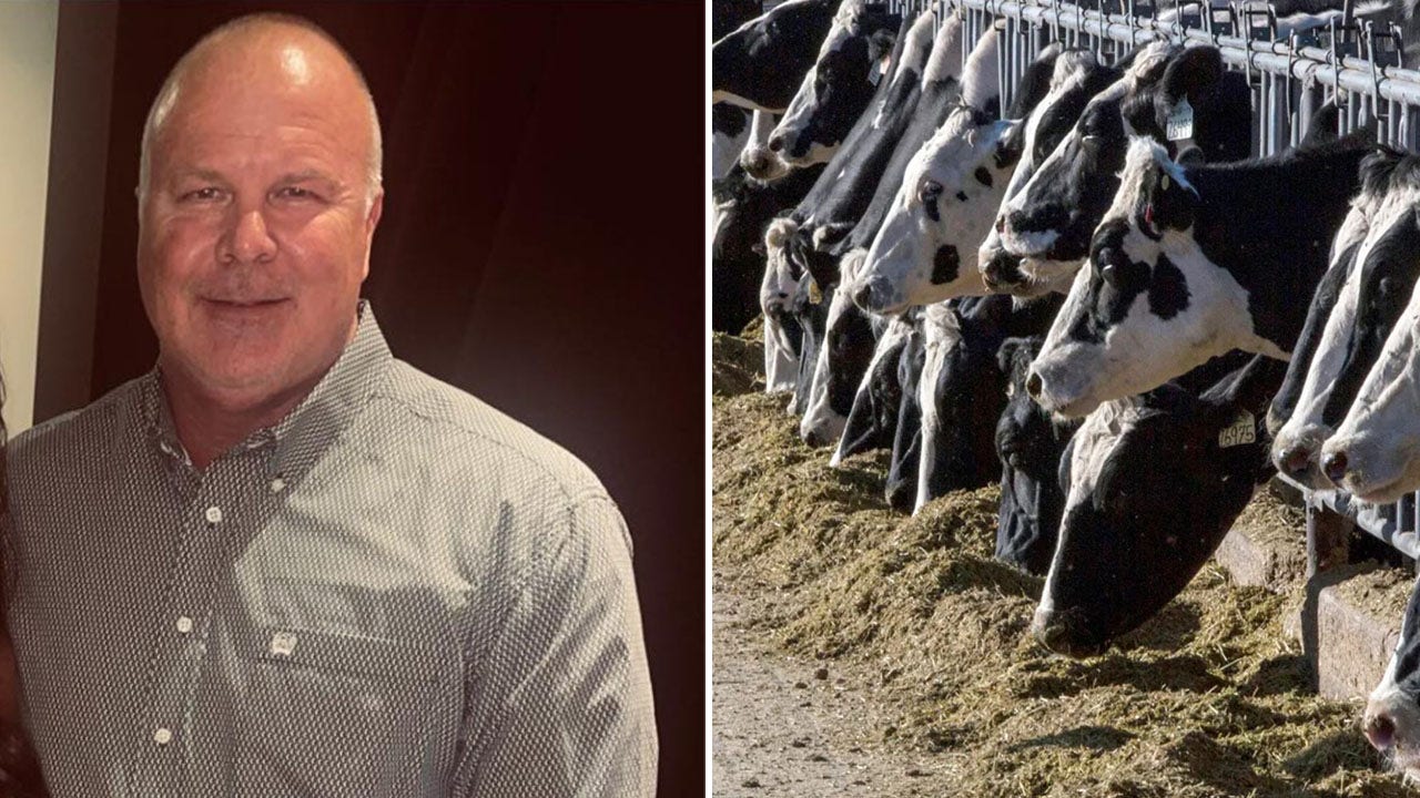 Victims of ‘Bernie Madoff of cows’ take on major banks in massive ghost cattle Ponzi scheme