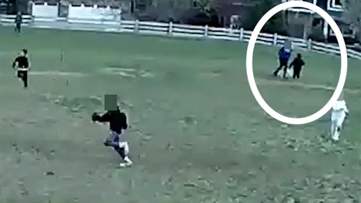 Attempted kidnapping caught on video