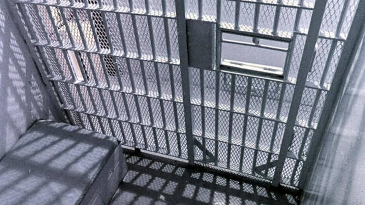 a photo of jail bars