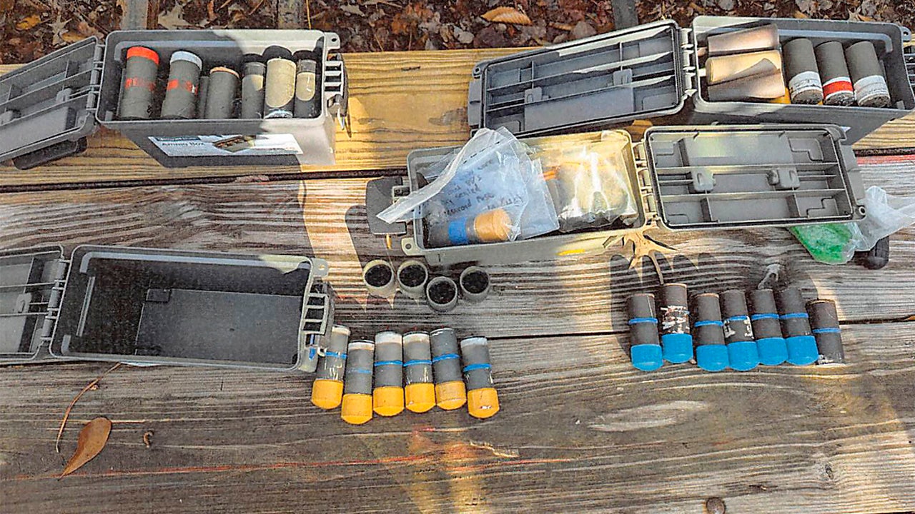 Virginia man who cheered ‘political assassinations’ pleads guilty after 150 pipe bombs are seized from home