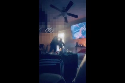 What would you have done in this situation?