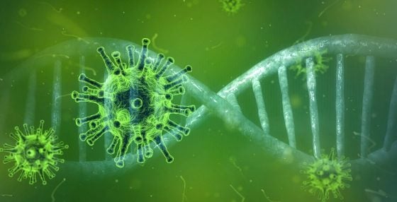 Next Plandemic? Drug-Resistant BAT-HUMAN HYBRID FLU Engineered by NIH-funded Researchers