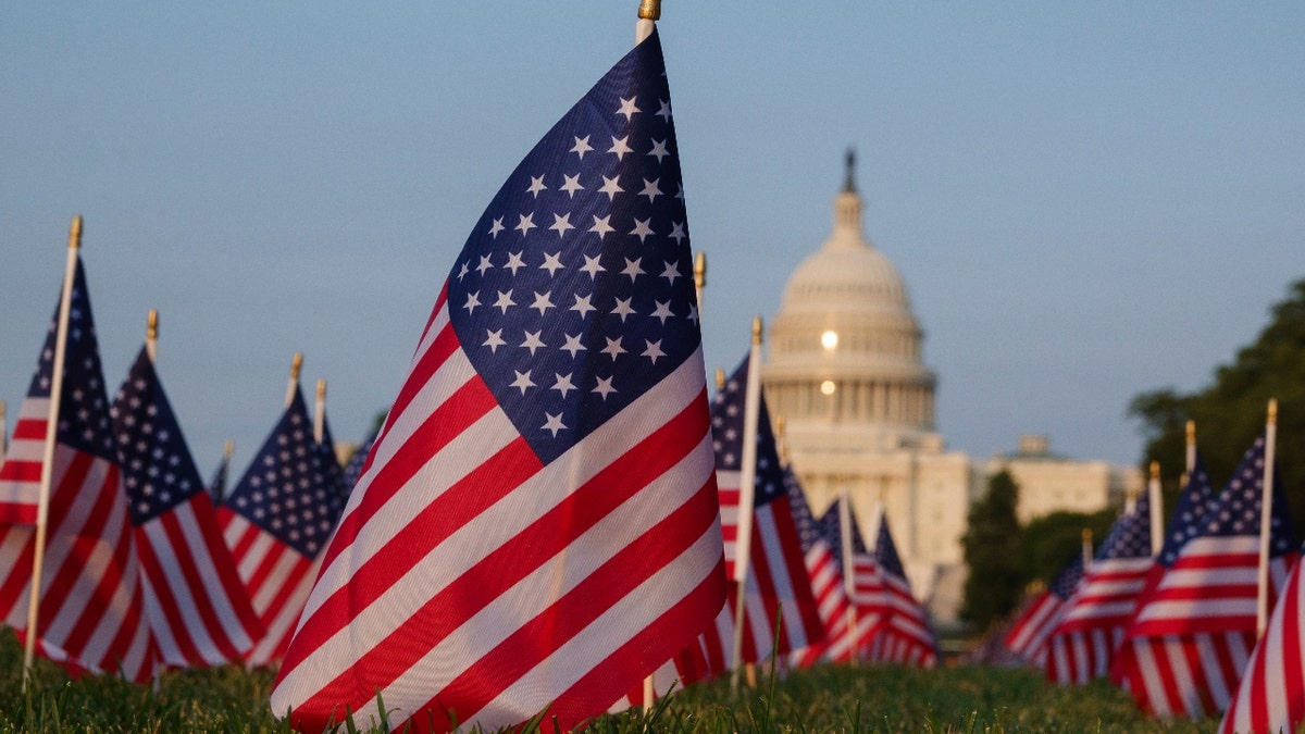 American flags are displayed on the lawn of the National Mall with the U.S. Capitol Building in the background at sunset on June 2, 2025 in Washington, DC.