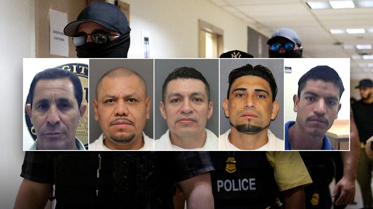 ICE arrests over 200 illegal alien child sex offenders in Houston area in past 6 months