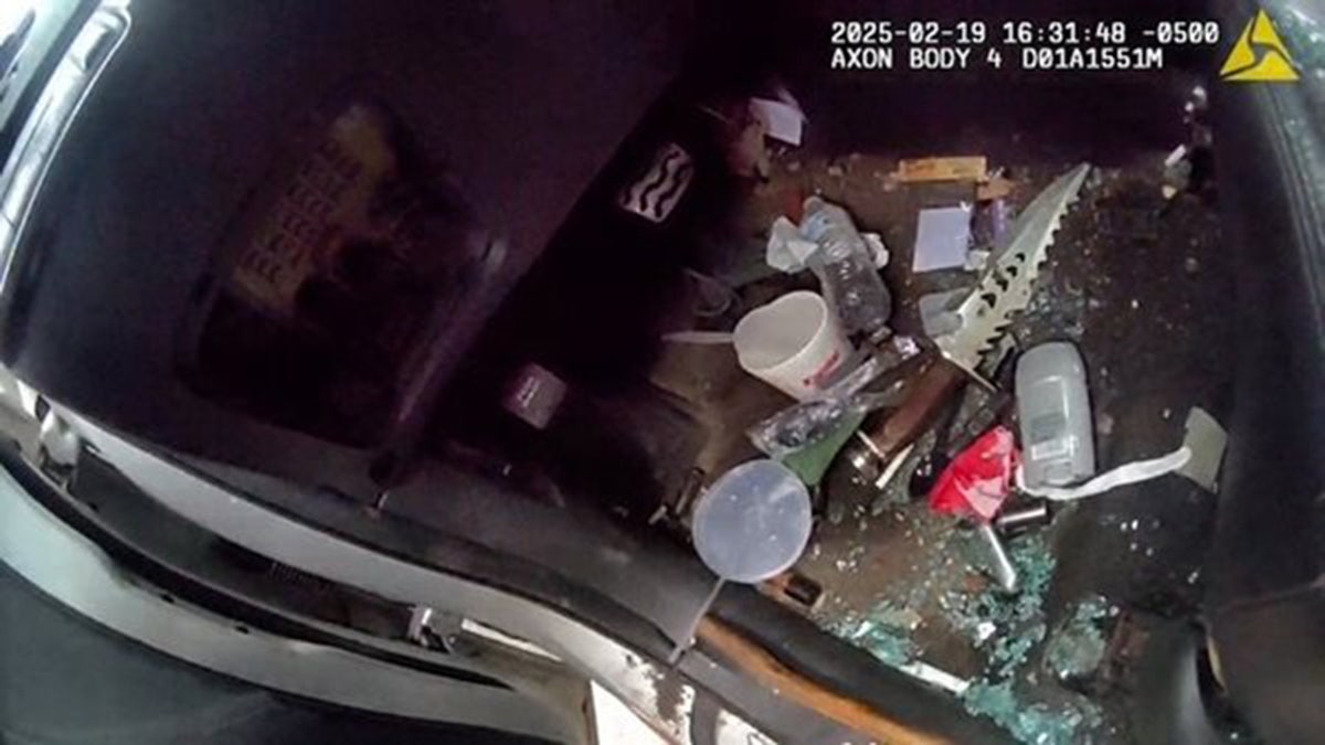 Arrest of William McNeil Jr.