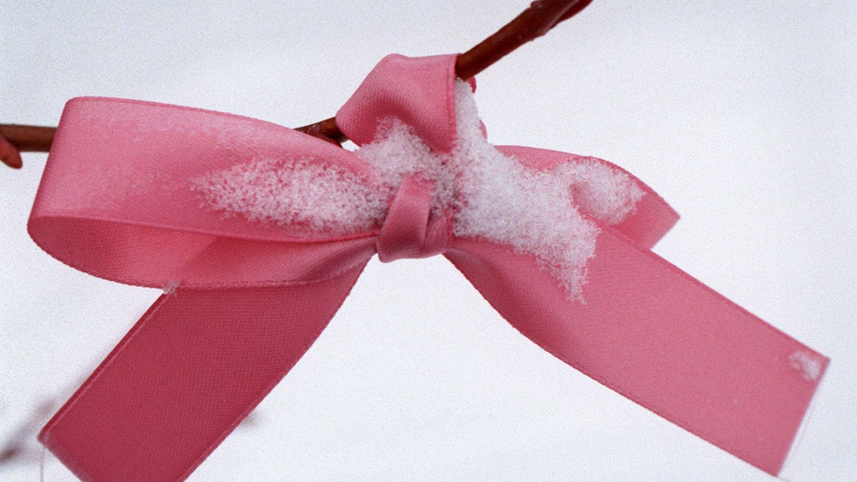 A pink ribbon covered in snow.