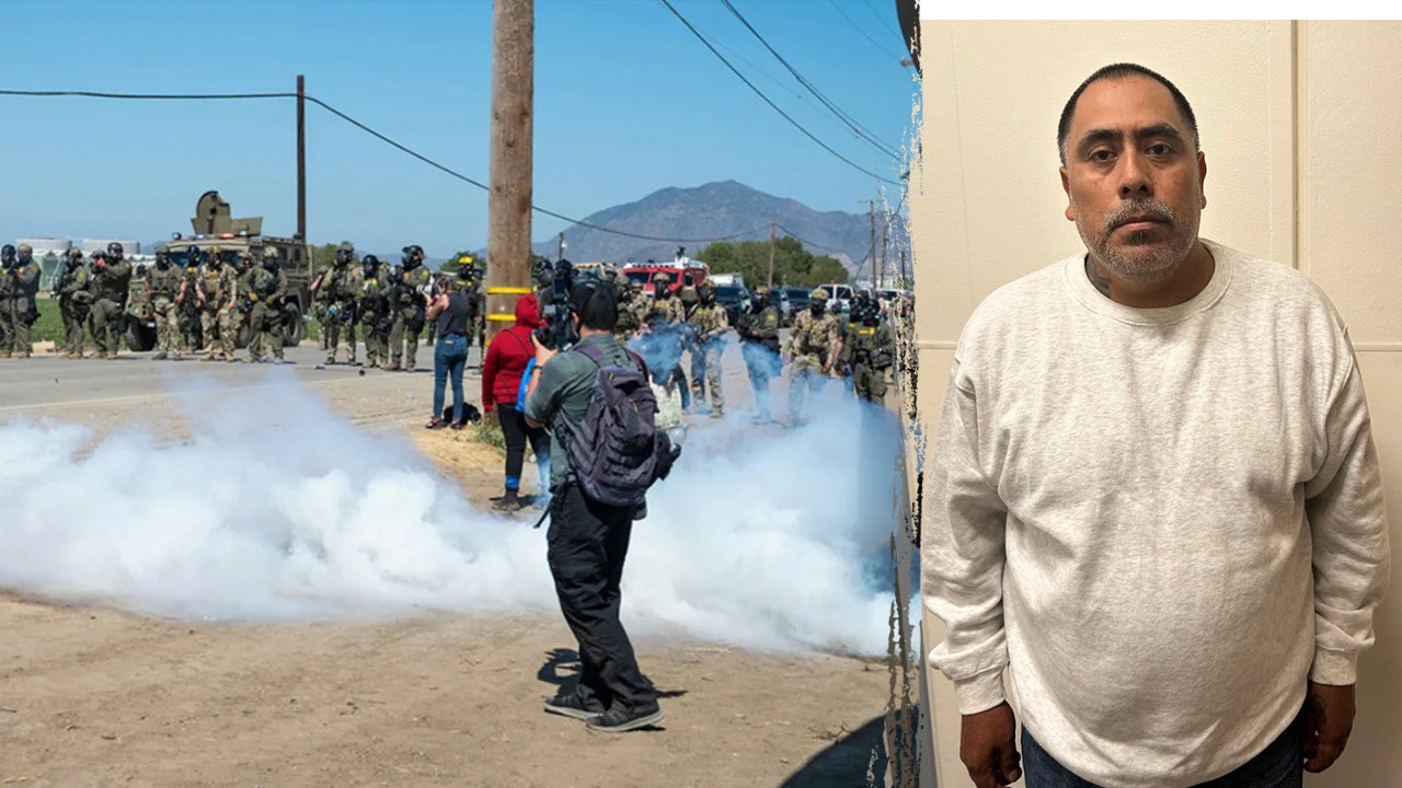 Child predator among more than 300 nabbed in cannabis farm ICE raid, largest of Trump’s second term