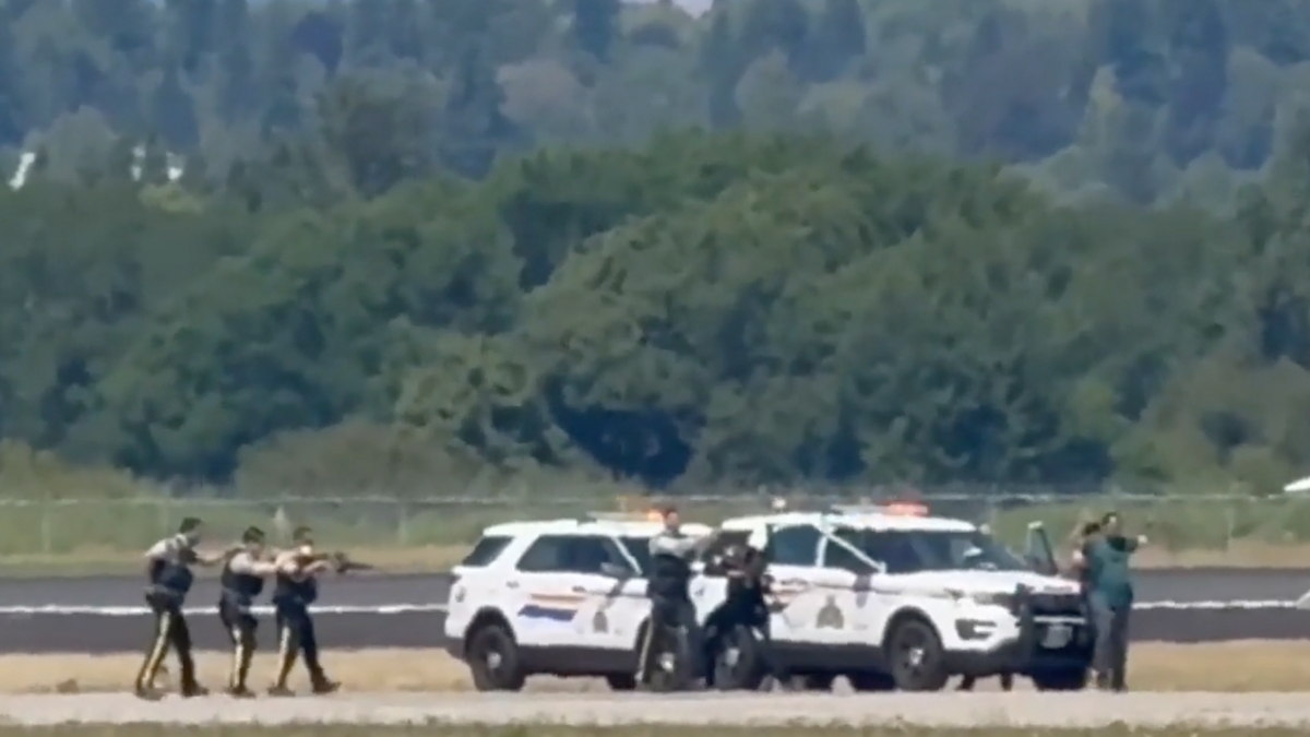 Police arrest suspect who stole plane 