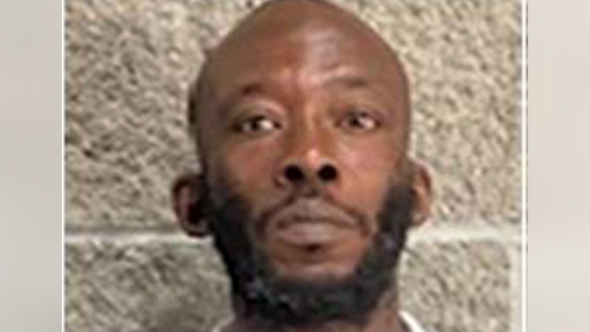 Mugshot of Wahota Allassane Ouattara