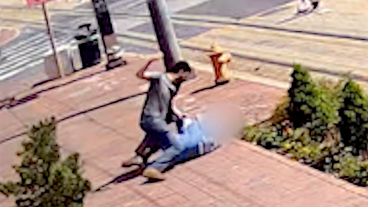 Man caught on video attacking pro-life protesters gets slap on wrist by judge