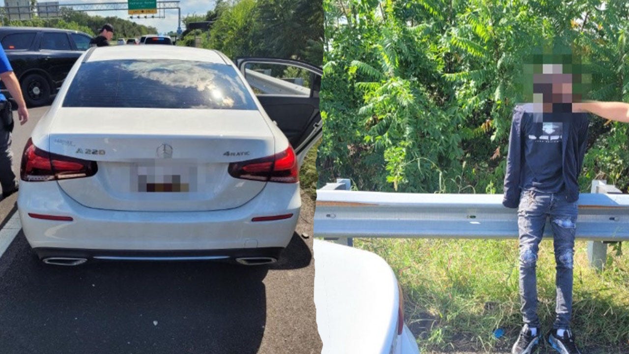 CBP agents foil carjacking suspect in Washington DC as Trump makes city ‘safe and beautiful’