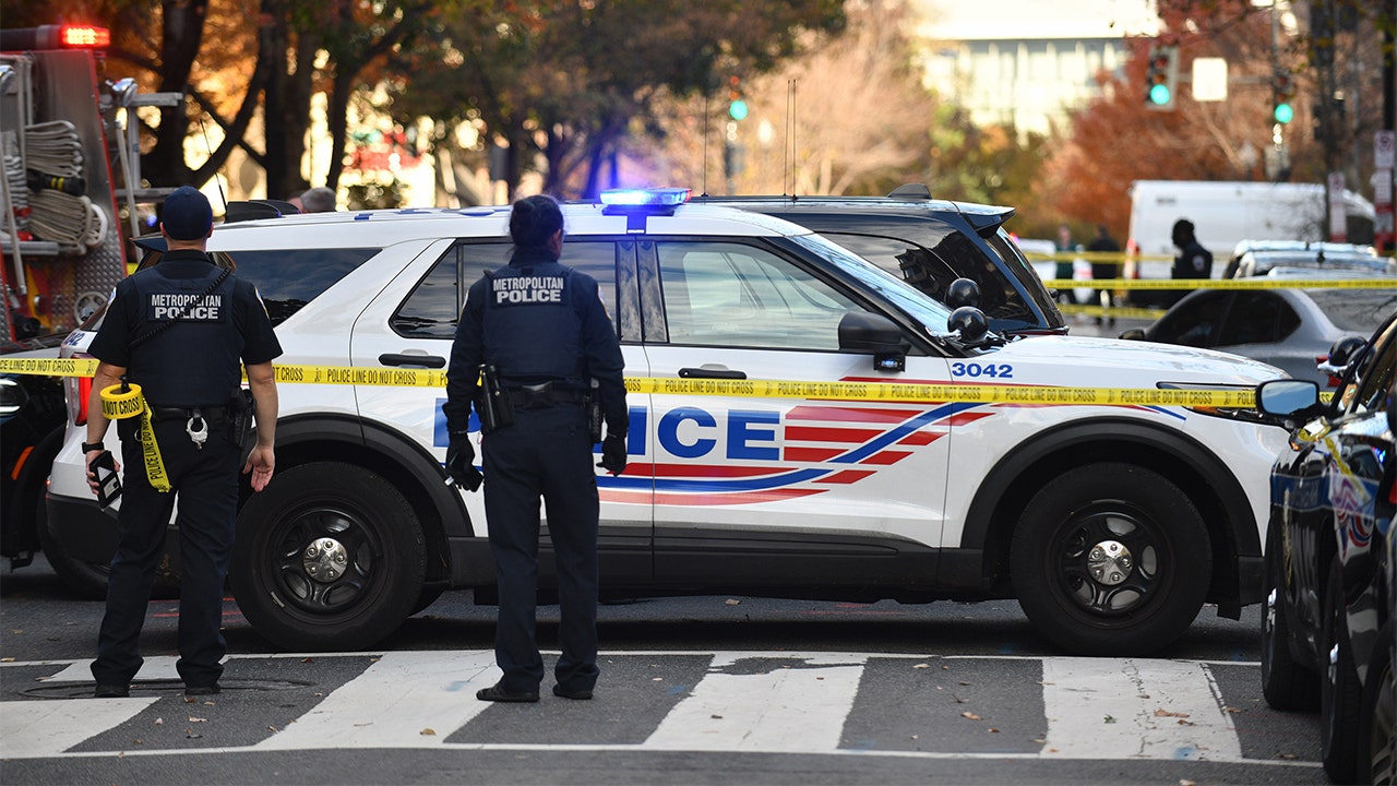 White House launches federal security blitz as president vows to end DC ‘crime plague’