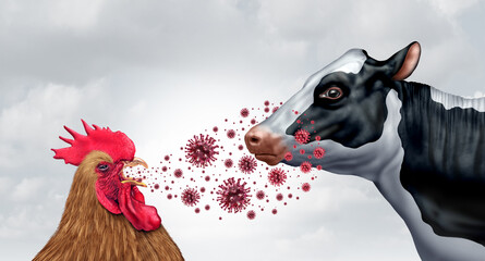 Nevada County Poultry Show Cancelled Over Bird Flu