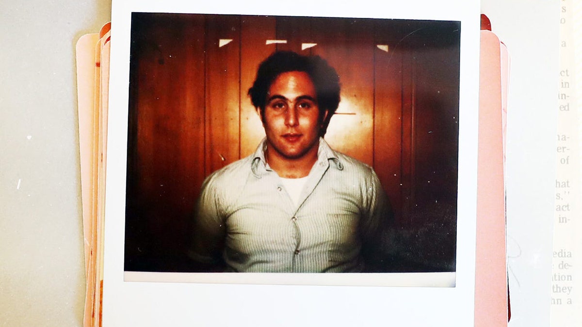 A photo of David Berkowitz wearing a white collared shirt.
