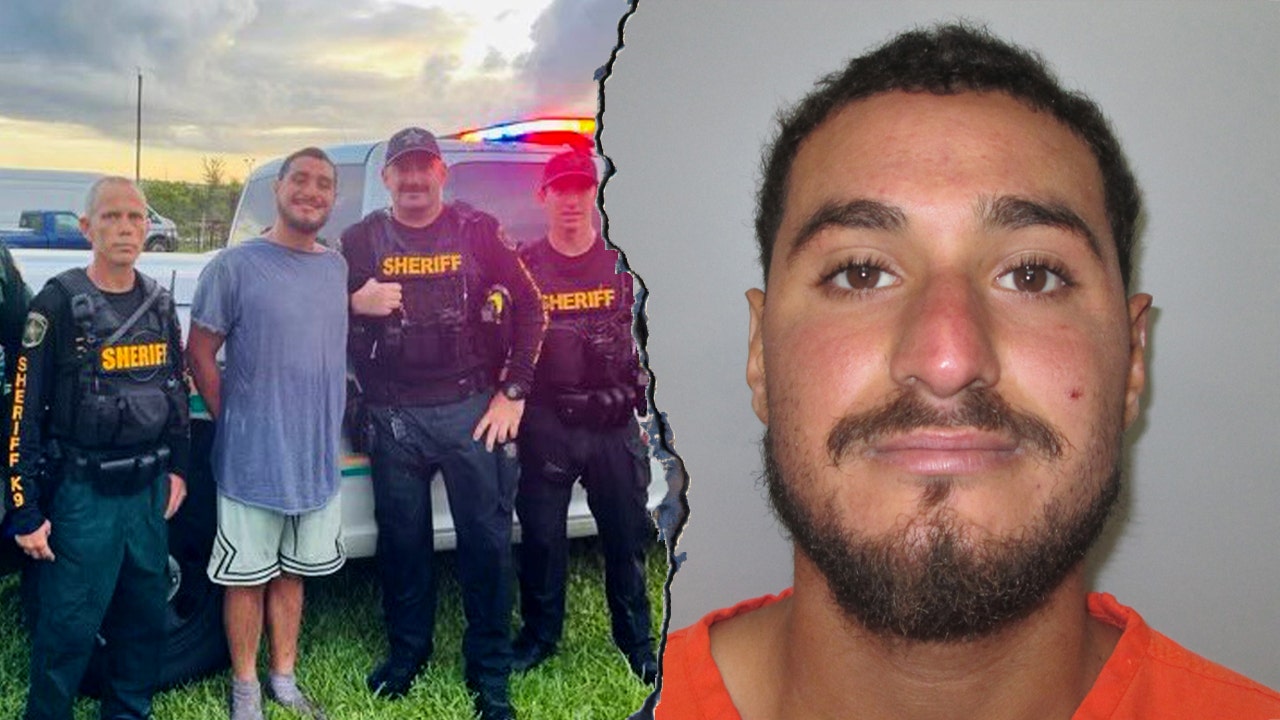 Illegal alien flashes beaming smile in arrest photo after allegedly battering a federal officer