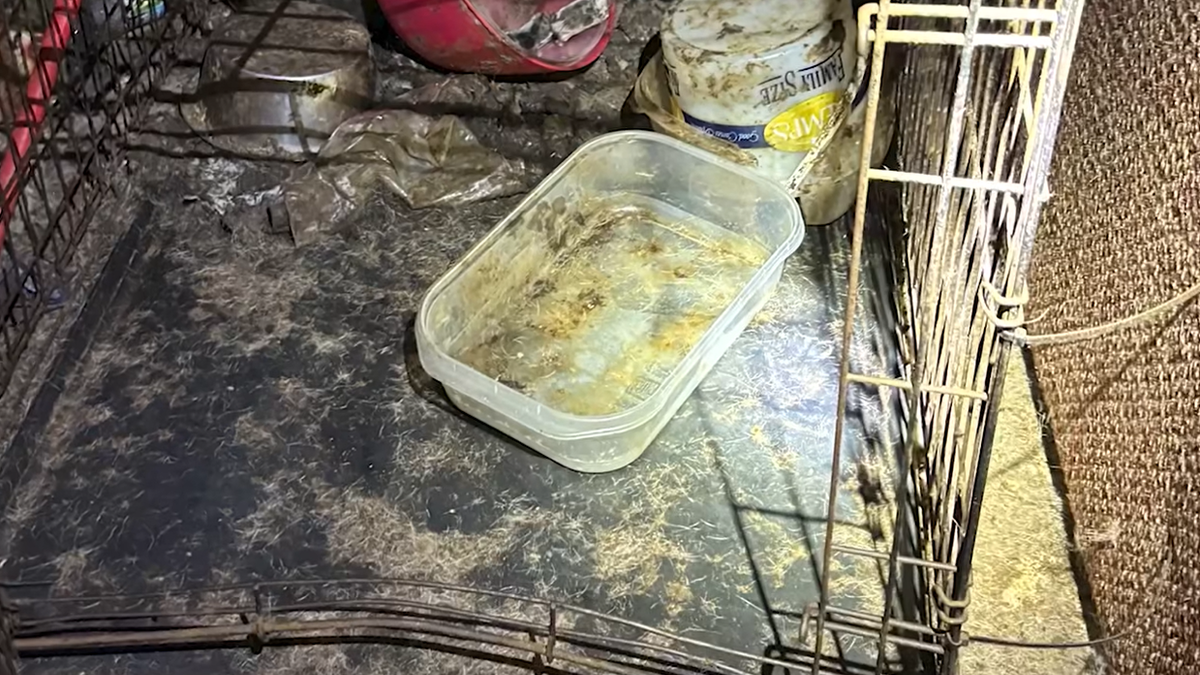 Dirty crate where dog was kept in Florida home