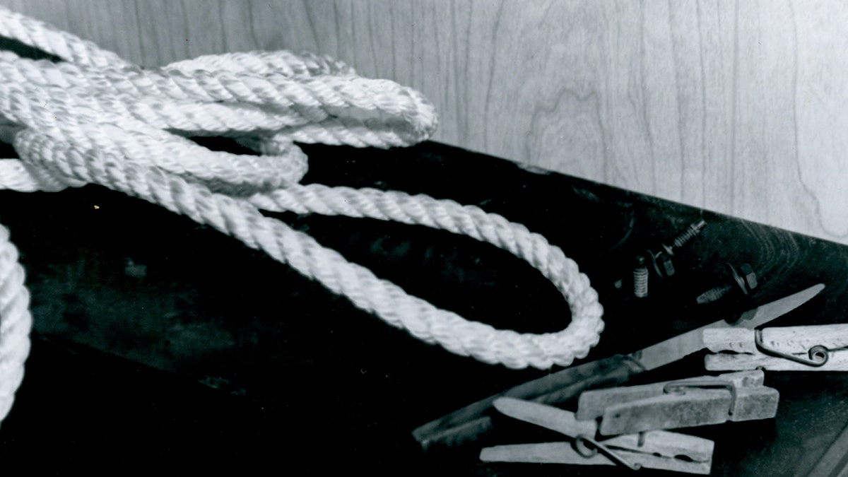 A black and white photo of rope and clothes pins.