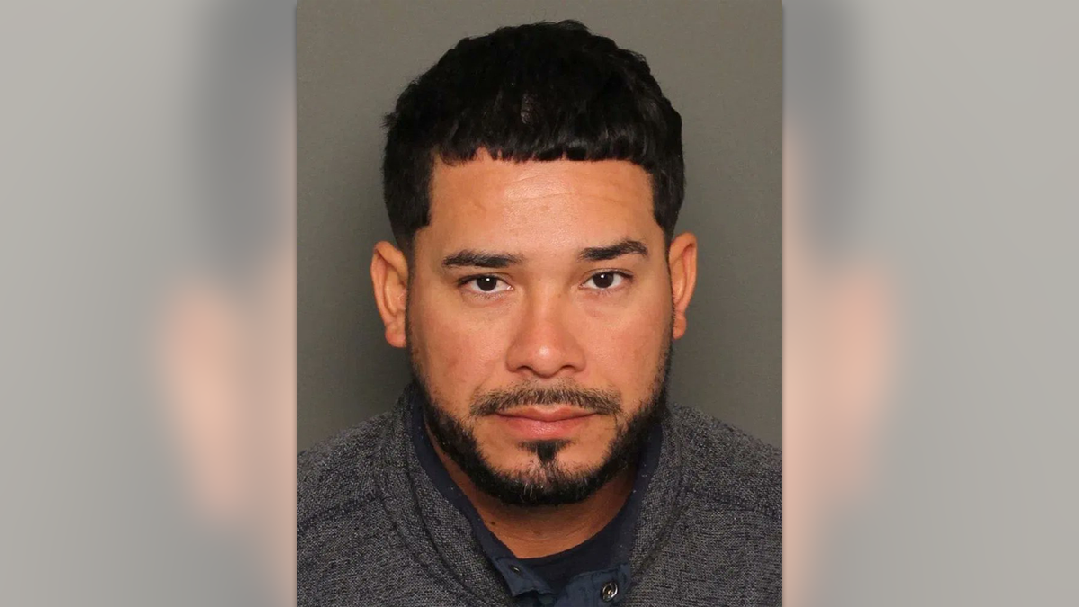 Julio Cesar Herrera Gonzales has a short beard and wearing a gray sweater in his mugshot