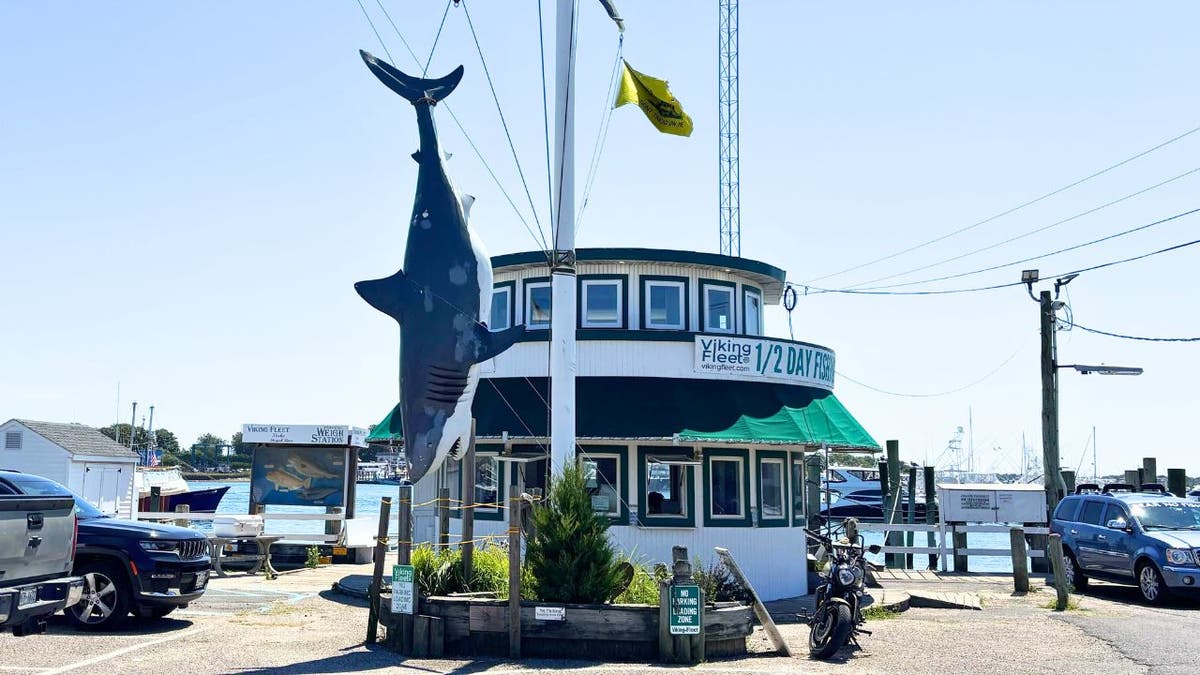 . A towering fiberglass shark dangles from a dockside pole.