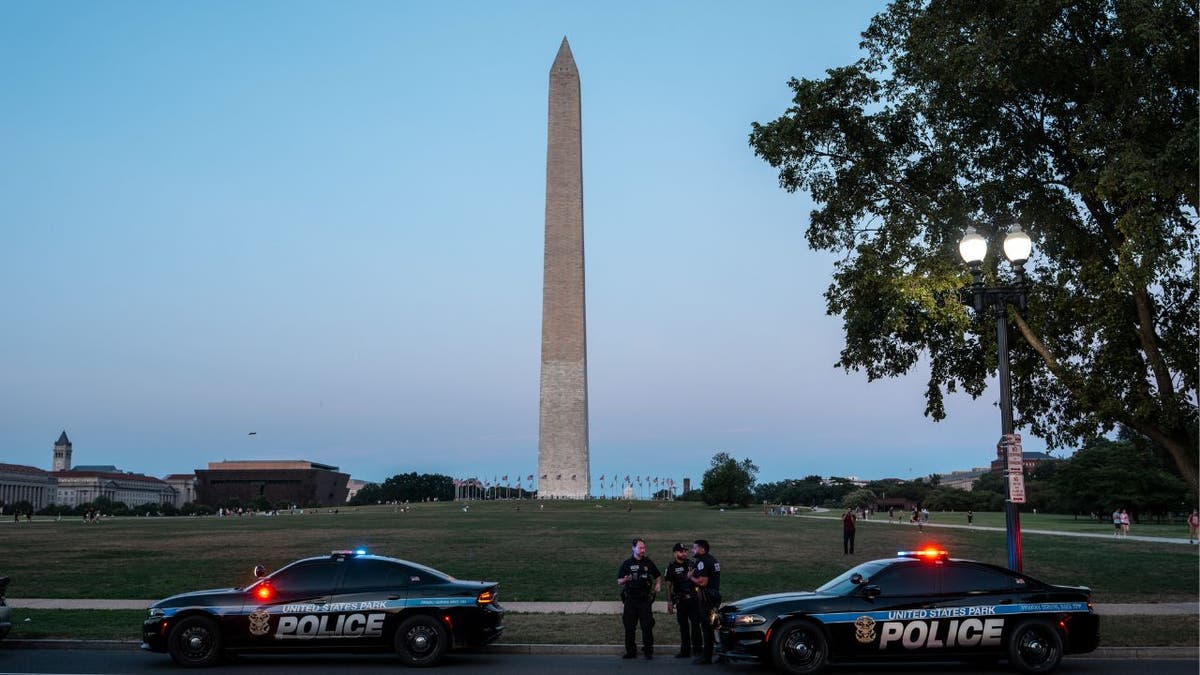 Police perform a traffic stop on the National Mall to combat rising crime
