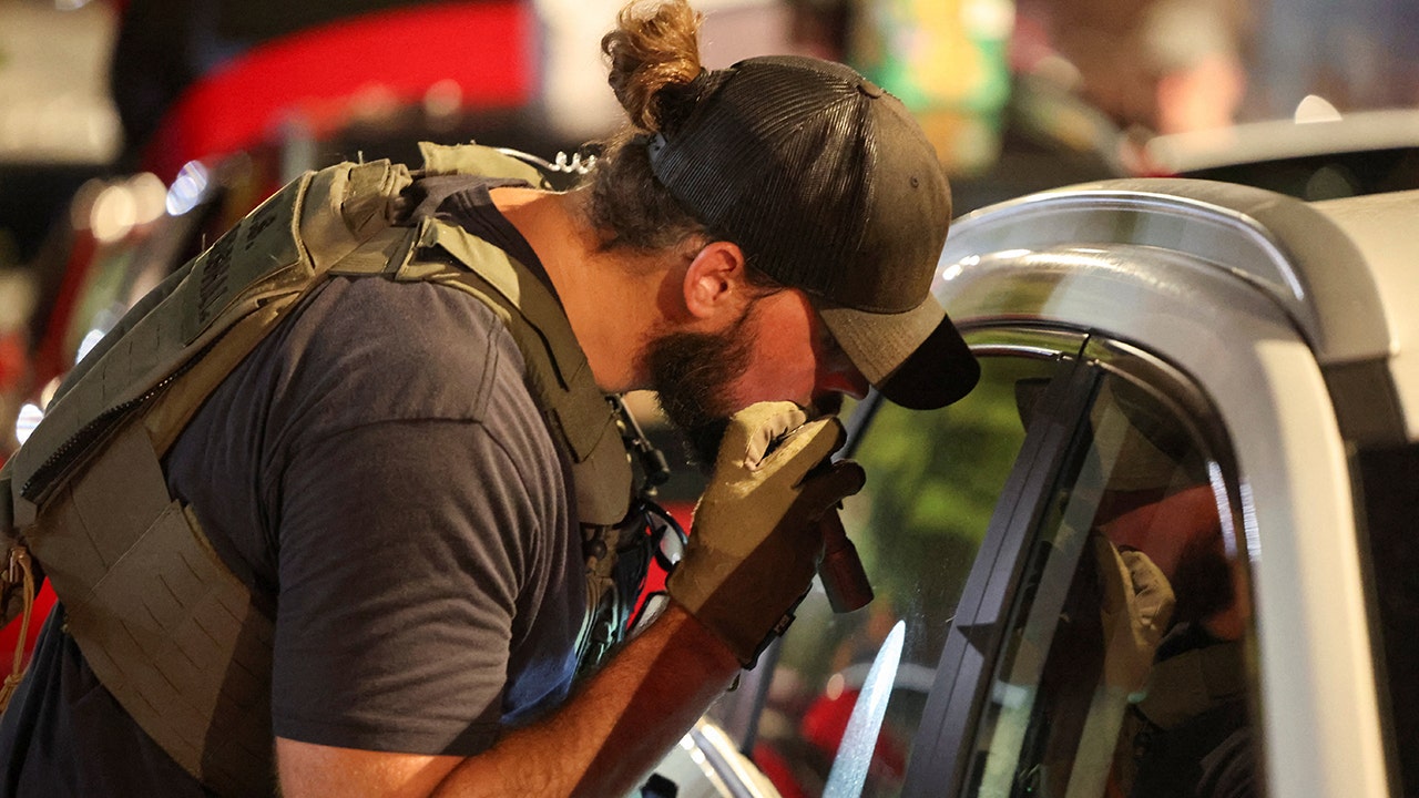 Trump’s DC crime crackdown busts another alleged Tren de Aragua gang member: ‘Make DC Safe Again’