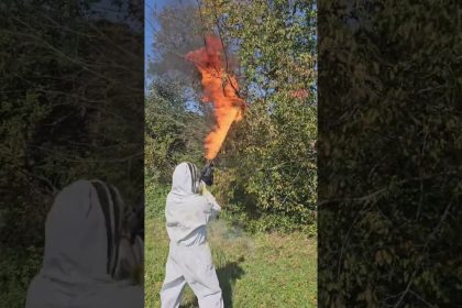 Flamethrower vs. hornets nest #shorts #bugs #funny