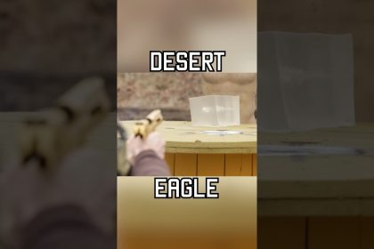 GOLD DESERT EAGLE #fun #military #cod #shorts