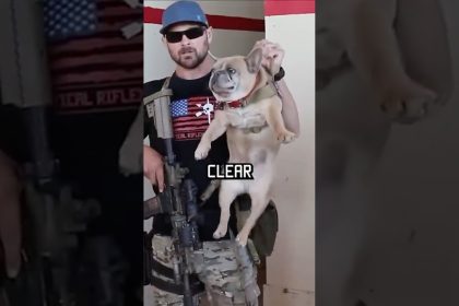 How do Navy Seals clear a room? Watch this. #shorts #dogs #navyseal #funny #training