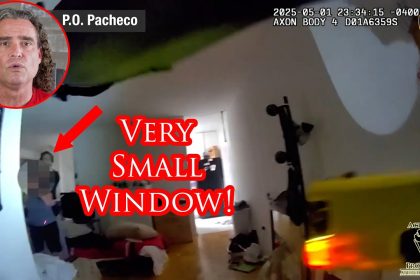 NYPD Officer Uses Fantastic Marksmanship to End Hostage Situation