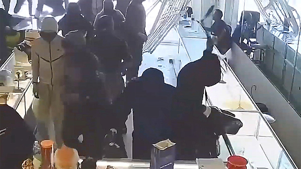 More than a dozen suspects in jewelry store robbery