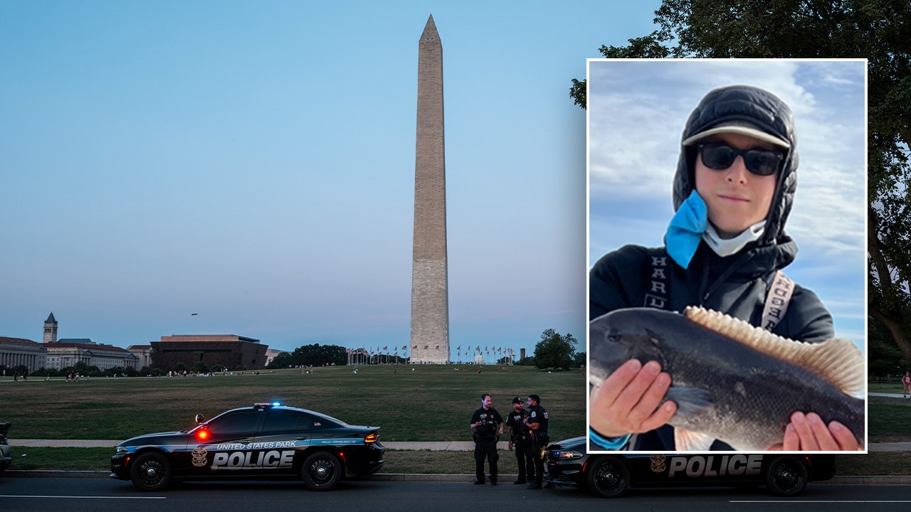 Two teens arrested in murder of Capitol Hill intern, third sought: DOJ, DC police