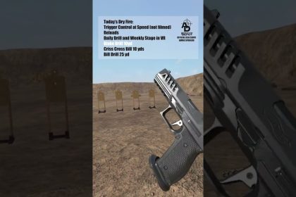 Mixing Dry Fire and VR Training