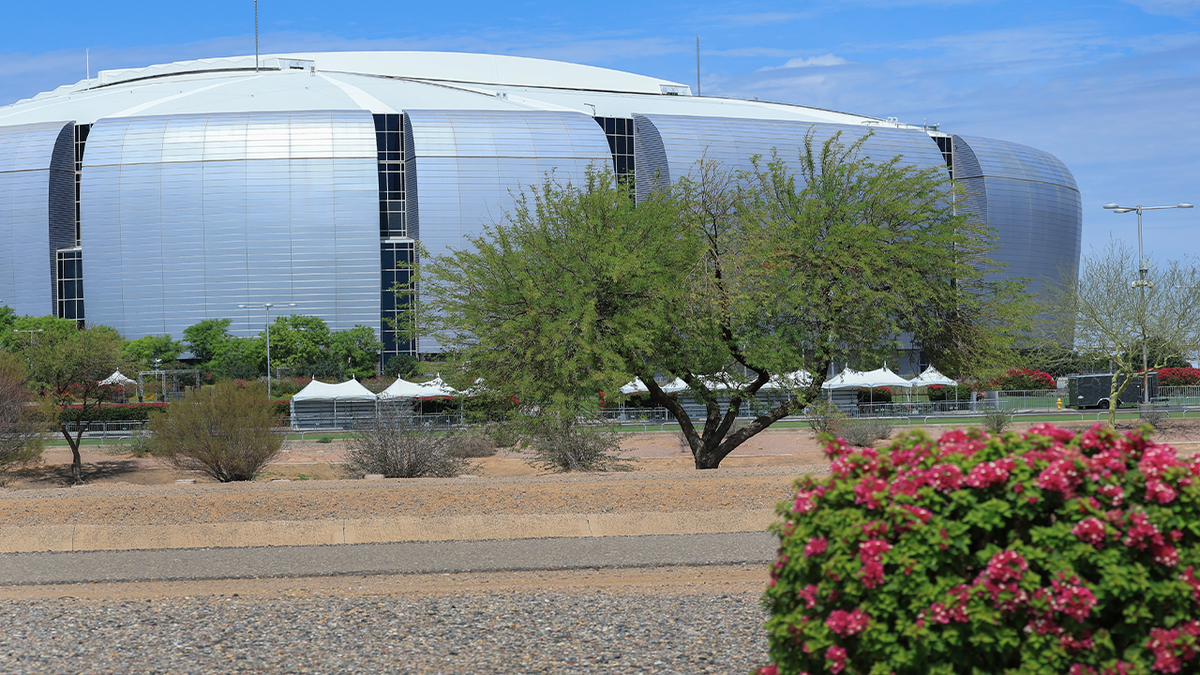 A flowering bush in the foreground as State Farm Stadium is pictured on a sunny day in Glendale, Arizona