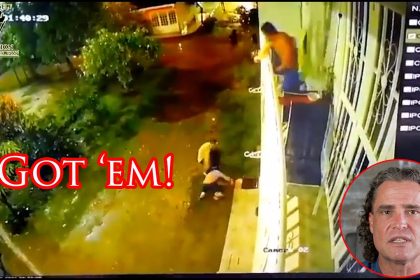 Armed Homeowner Turns Home Invaders Into Goombas!