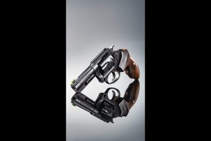 Which one did you end up carrying?